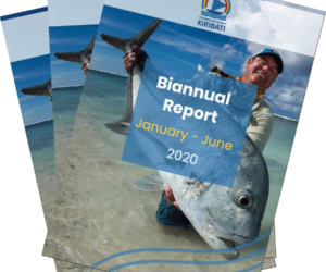 TAK Biannual Report January - June 2020